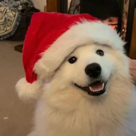 Brian.K