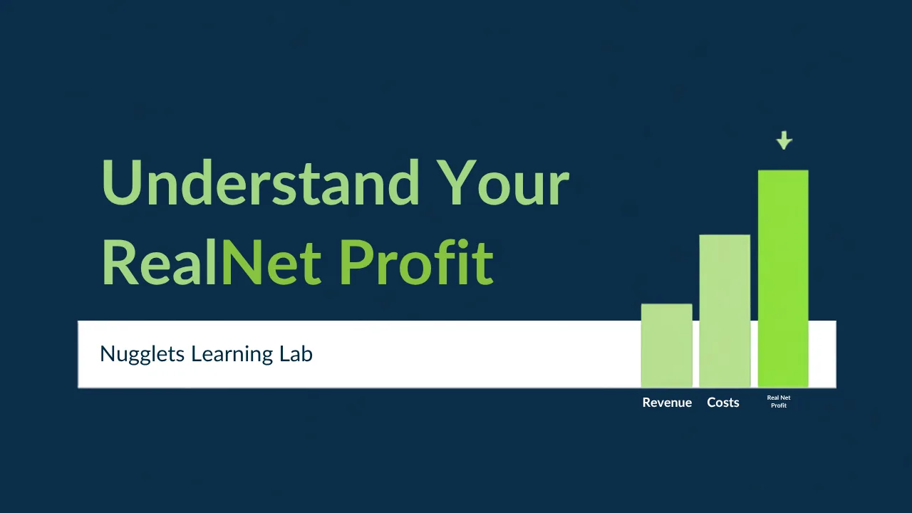 Understanding Your Real Net Profit in the Profit Tracker - Nugglets